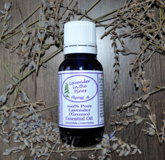 Lavender Essential Oil